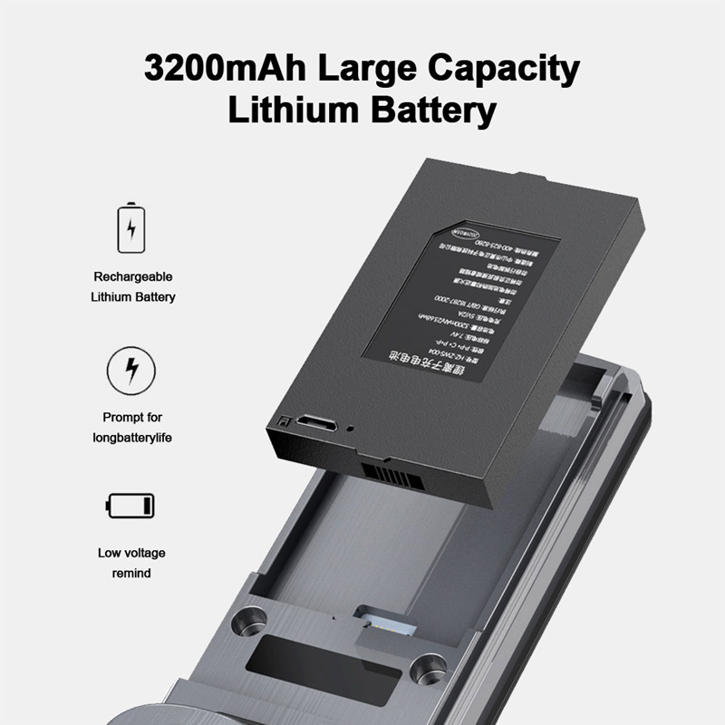 Smart WI-FI Door Handle (Face) D14 Lock