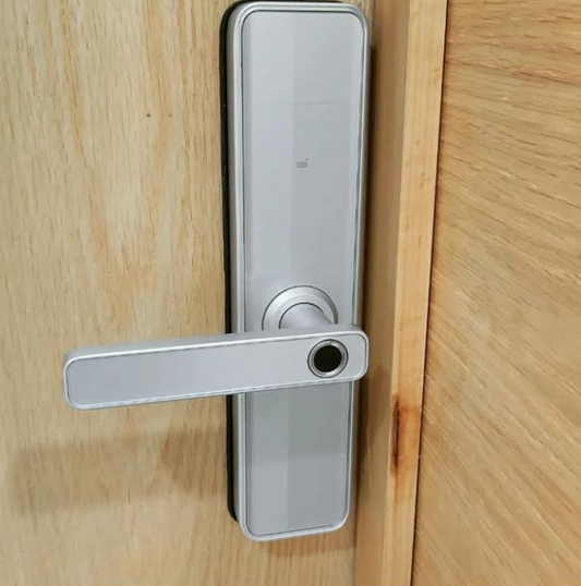 Smart Wi-Fi Door Lock - P8 (Silver)