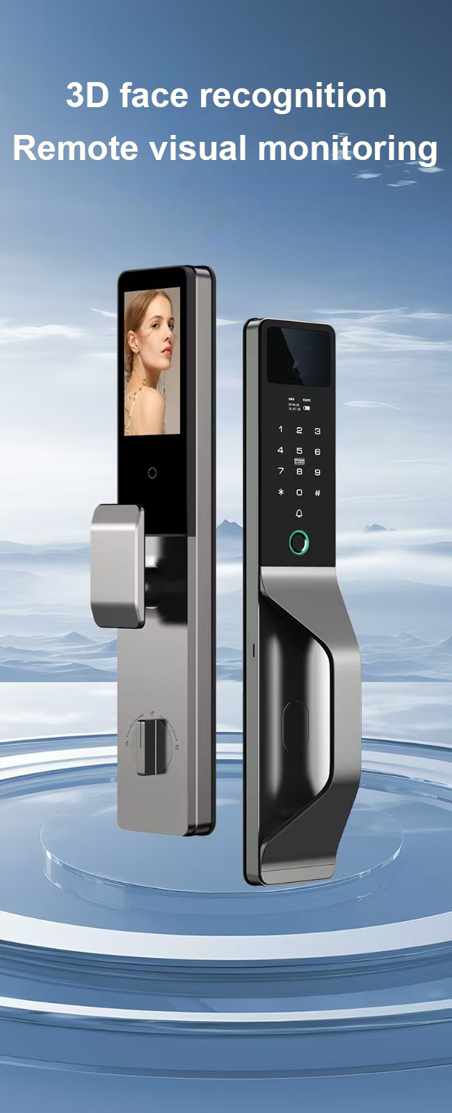 Smart WI-FI Door Handle (Face) Lock C4