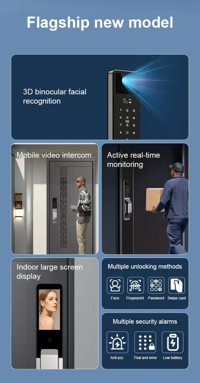 Smart WI-FI Door Handle (Face) Lock C4