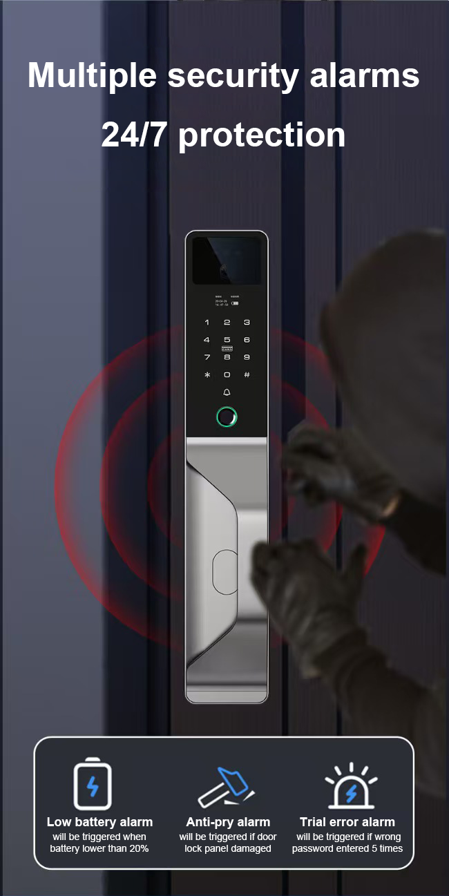 Smart WI-FI Door Handle (Face) Lock C4