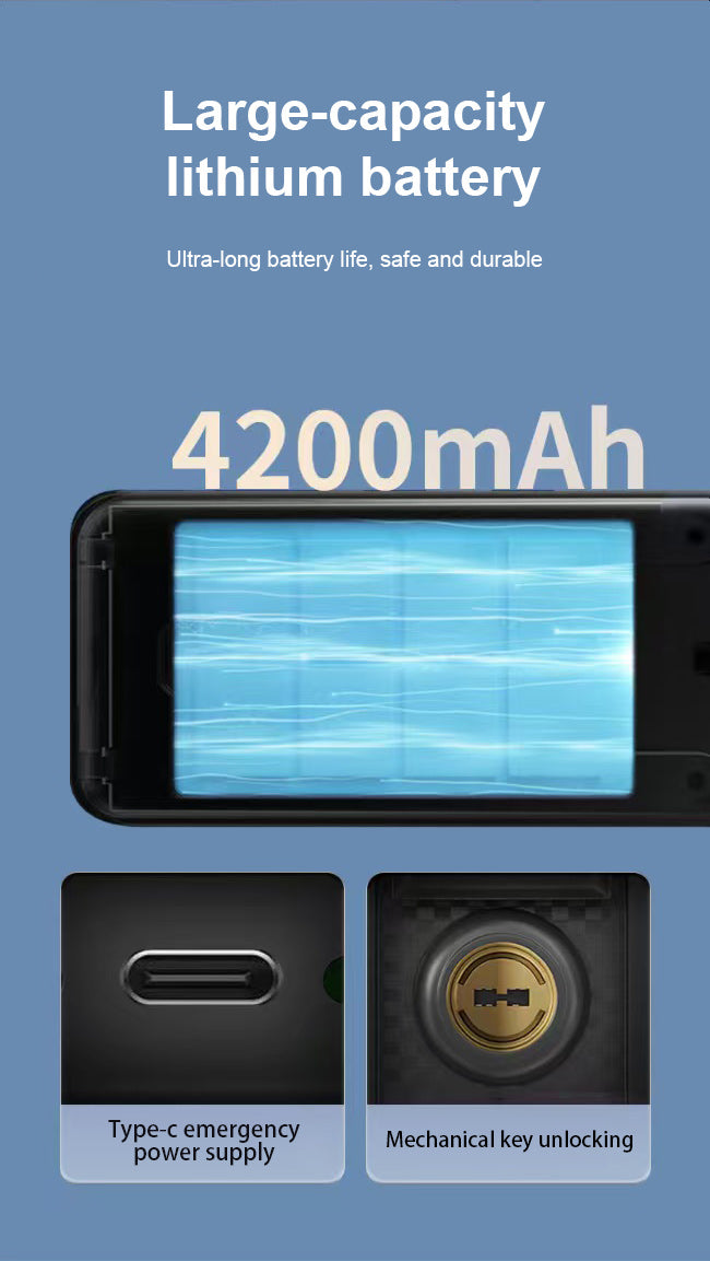 Smart WI-FI Door Handle (Face) Lock C4