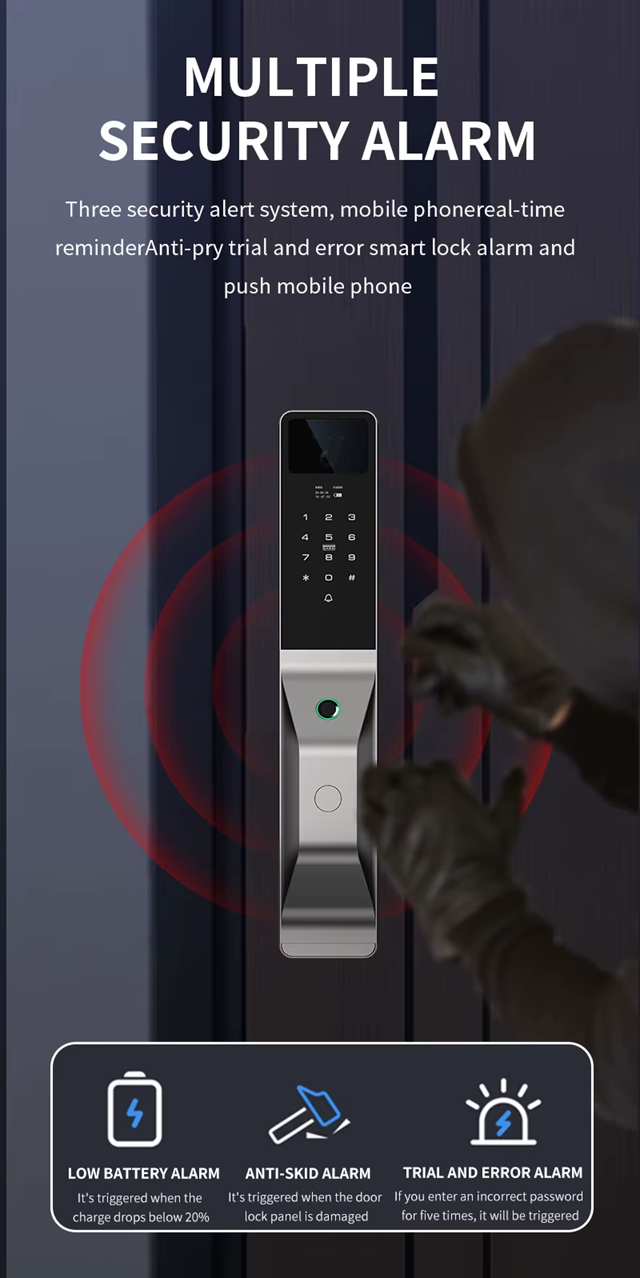 Smart Wi-Fi Door Handle (Face) Lock C5