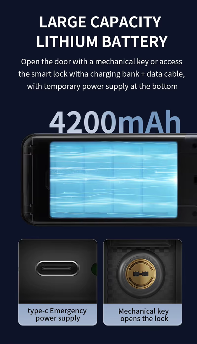 Smart Wi-Fi Door Handle (Face) Lock C5