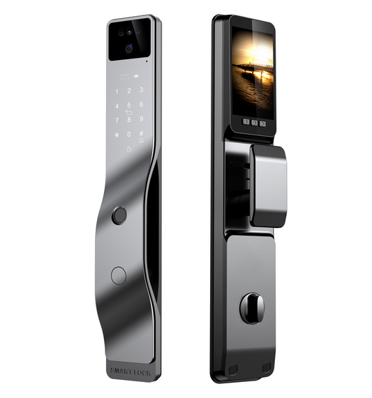 Smart WI-FI Door Handle (Face) Lock C4.2