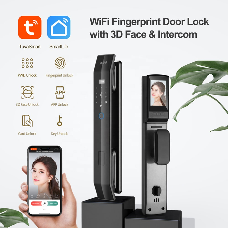 Smart WI-FI Door Handle (Face) D14 Pro Lock