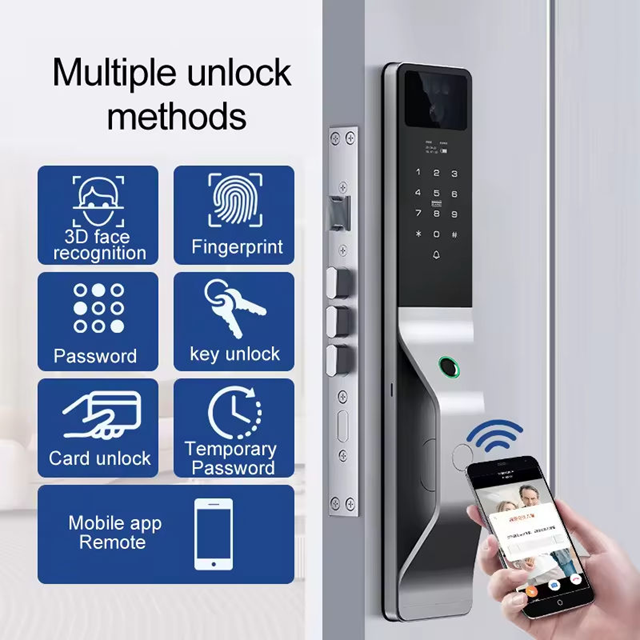 Smart Wi-Fi Door Handle (Face) Lock C5