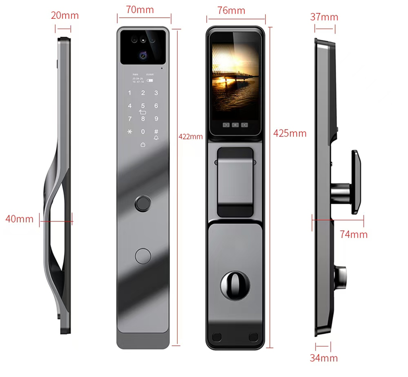 Smart WI-FI Door Handle (Face) Lock C4.2