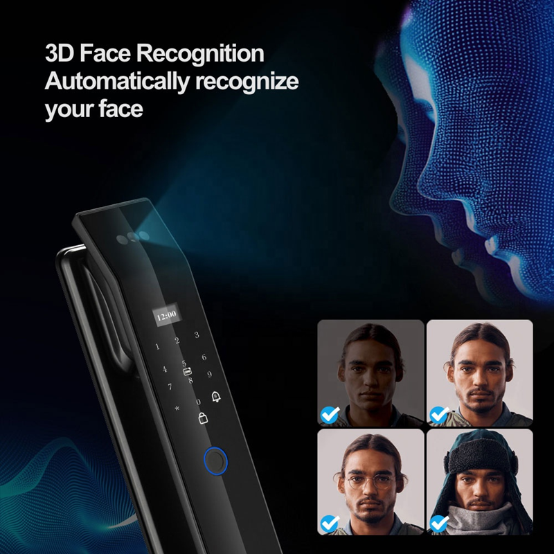 Smart WI-FI Door Handle (Face) D14 Pro Lock