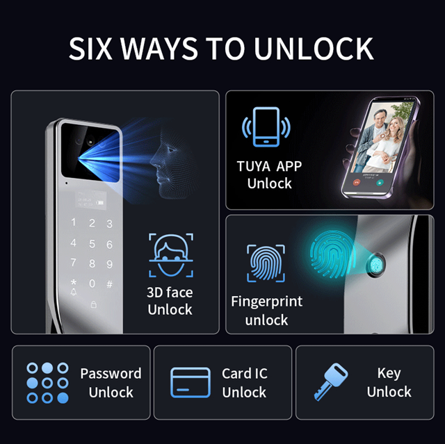 Smart WI-FI Door Handle (Face) Lock C4.2