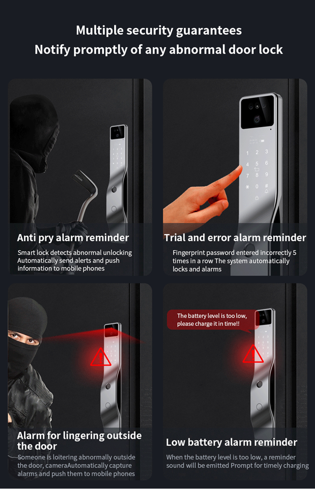 Smart WI-FI Door Handle (Face) Lock C4.2