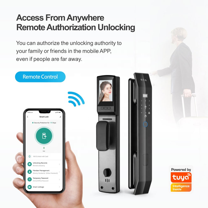 Smart WI-FI Door Handle (Face) D14 Lock