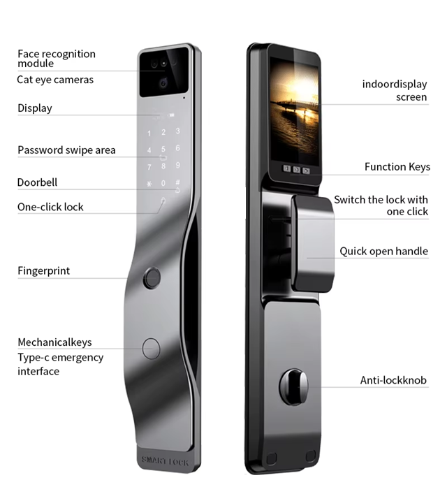 Smart WI-FI Door Handle (Face) Lock C4.2