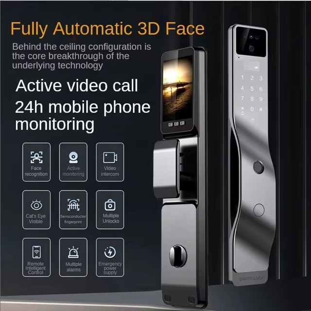 Smart WI-FI Door Handle (Face) Lock C4.2