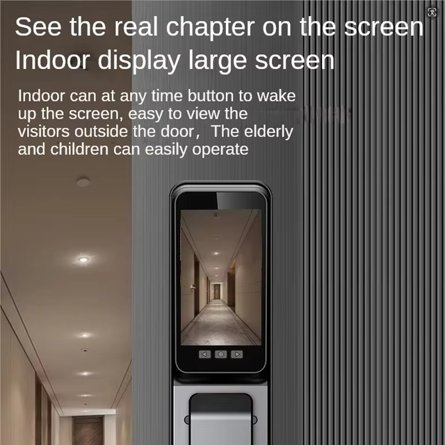Smart WI-FI Door Handle (Face) Lock C4.2