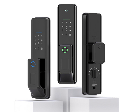 Smart Wi-Fi Lock With Cat Eye - R16