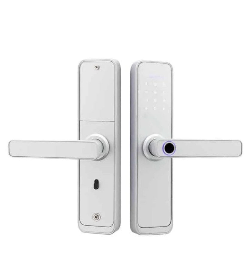 Smart Wi-Fi Door Lock - P8 (Silver)