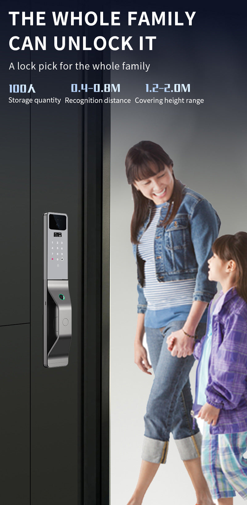 Smart Wi-Fi Door Handle (Face) Lock C5