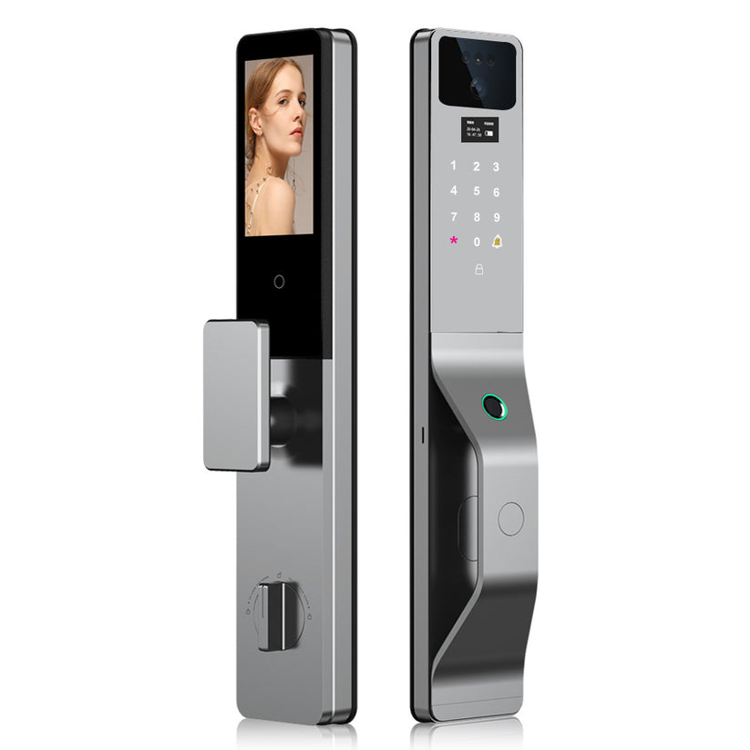 Smart Wi-Fi Door Handle (Face) Lock C5