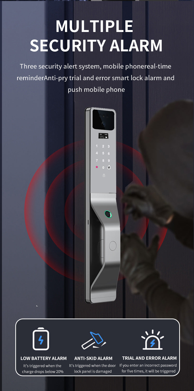 Smart Wi-Fi Door Handle (Face) Lock C5