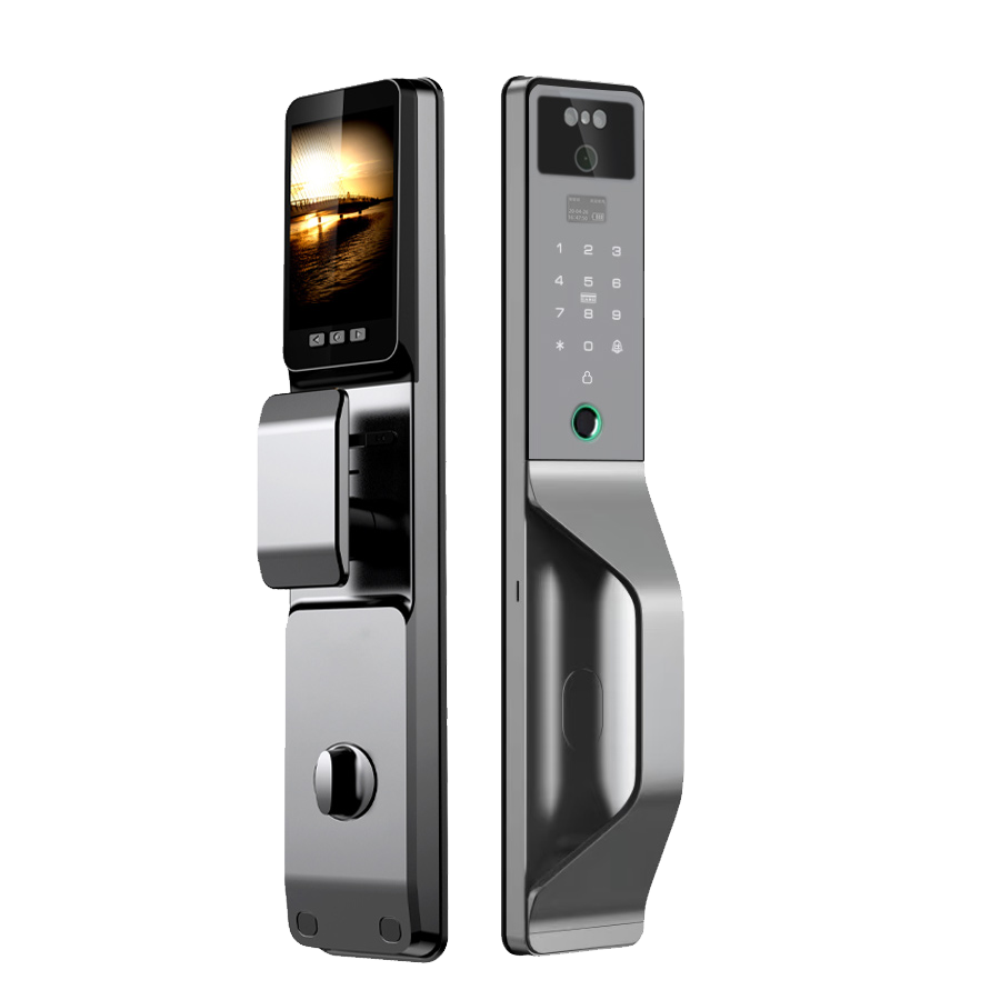 Smart WI-FI Door Handle (Face) Lock C4