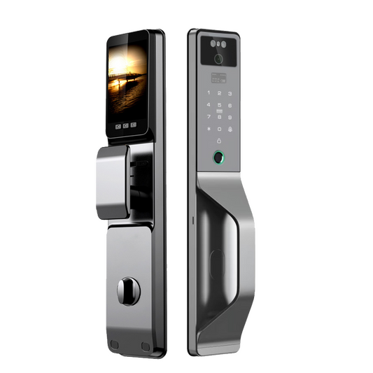 Smart WI-FI Door Handle (Face) Lock C4