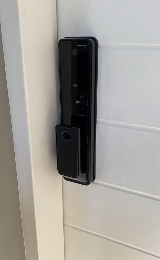 Smart Wi-Fi Lock With Cat Eye - R16