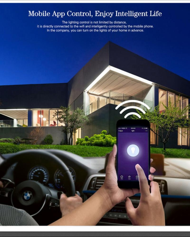 Smart Wi-Fi IP66 Outdoor 30W RGBCW LED Floodlight