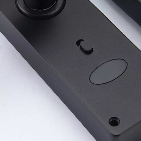 R4 Smart Digital Wi-Fi Fingerprint Door Handle Lock