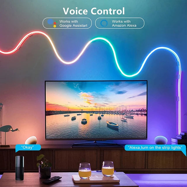 Smart 5M Wi-Fi LED Neon Rope light